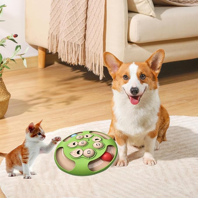 Cat Puzzle Toys Games Level 3 in 1 with Track Balls, Interactive Mentally Stimulating cat toys for IQ Training,Feather Teaser & Treat Feeder, Enrichment for Indoor Cats, Kitty Gift (Green)