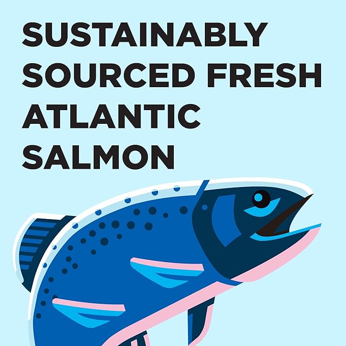 Liberty Dry Food Salmon Recipe for Cats, 10lb