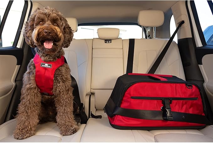 Sleepypod Air - Airline Approved Carrier for Cats and Dogs (Olive Green)