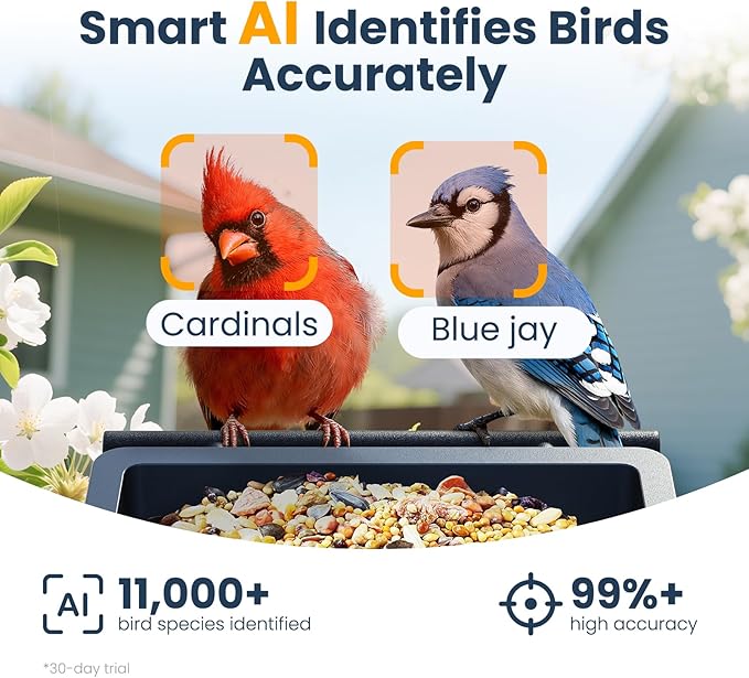 Smart Metal Bird Feeder with Camera Squirrel Proof, 2.5K UHD AI Identification, Wireless Solar Powered Outdoor for Garden Birding, Real-time Videos & IMG, Premium Present for Dad