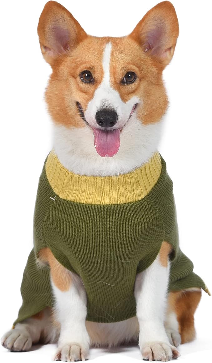 STAR WARS Boba Fett Dog Sweater, Small (S) | Dog Sweater, Pet Apparel | Gifts for Star Wars Fans, Green