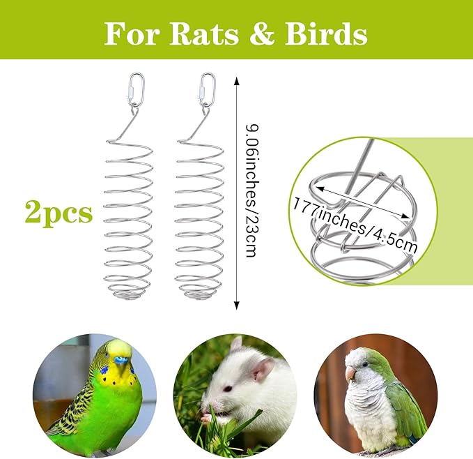 2 PCS Rat Enrichment Toys, Bird Cage Food Holder, 304 Stainless Steel Rat Foraging Toy for Fruit Vegetable Holder, Bird Cage Feeder Foraging Toy for Parakeet, Hanging Rodent Toys Slow Feeder