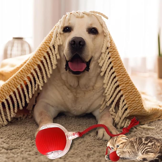 Chewie Viral Rolling Ball for Cats Dogs, Rechargeable Interactive Cat Dog Toys, Active Rolling Ball Cat Toy for Puppy Small Medium Large Dogs, 360° Smart Automatic Rolling Pet Ball