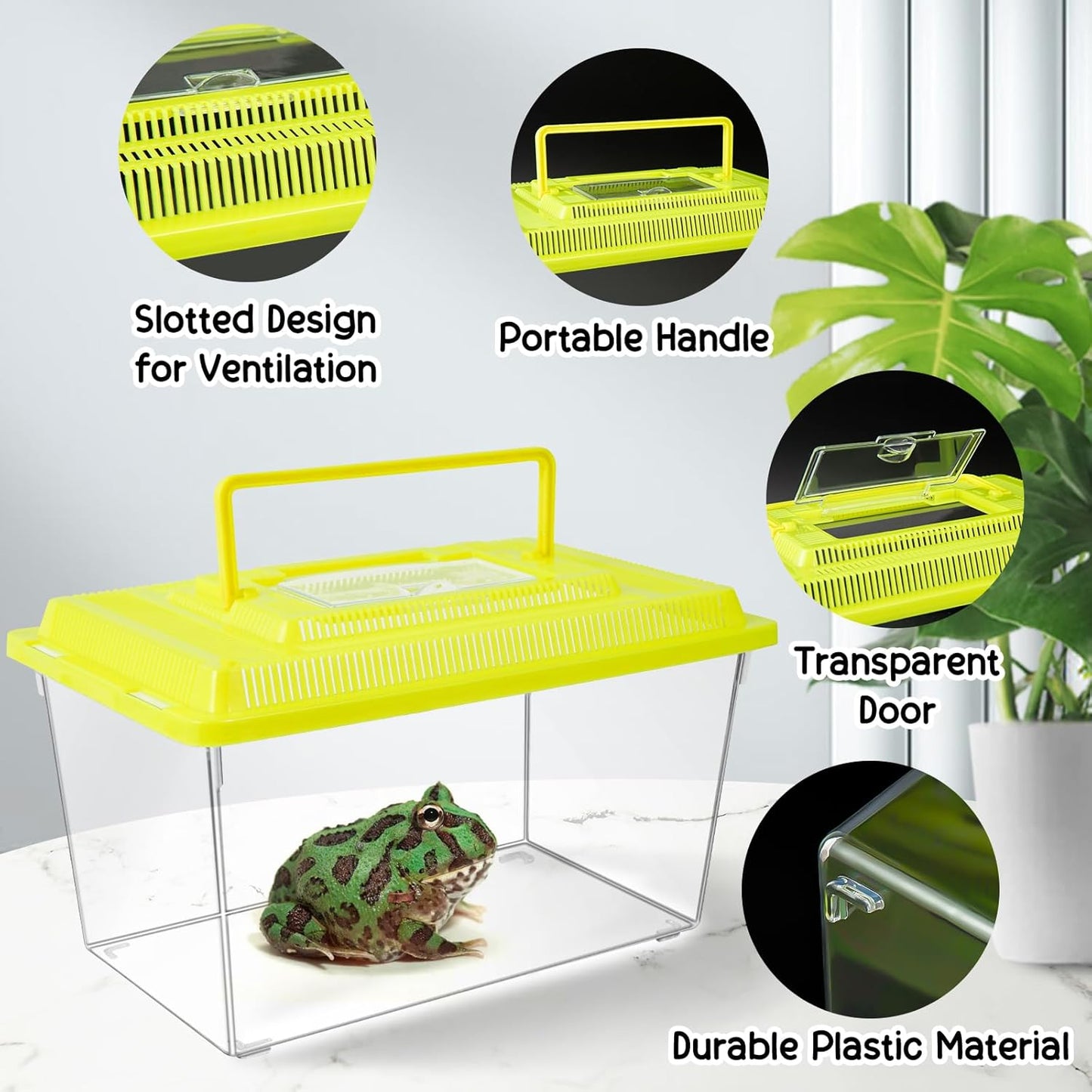 12Pcs Plastic Reptile Terrariums Carrier Cage, Tarantula Enclosure Breeding Box Hatching Container Transparent Fish Tank Turtle Aquarium with Random Color Lid for Lizards, XL(10.6" x 6.7" x 5.9")