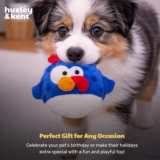 Huxley & Kent Funny Dog Toy w/Squeaker – Power Plush Squeaky Dog Toys for Small Dogs – Durable Small Stuffed Animal for Indoor Play & Fetch - Tiny Tuff Chicken Gordon Blue