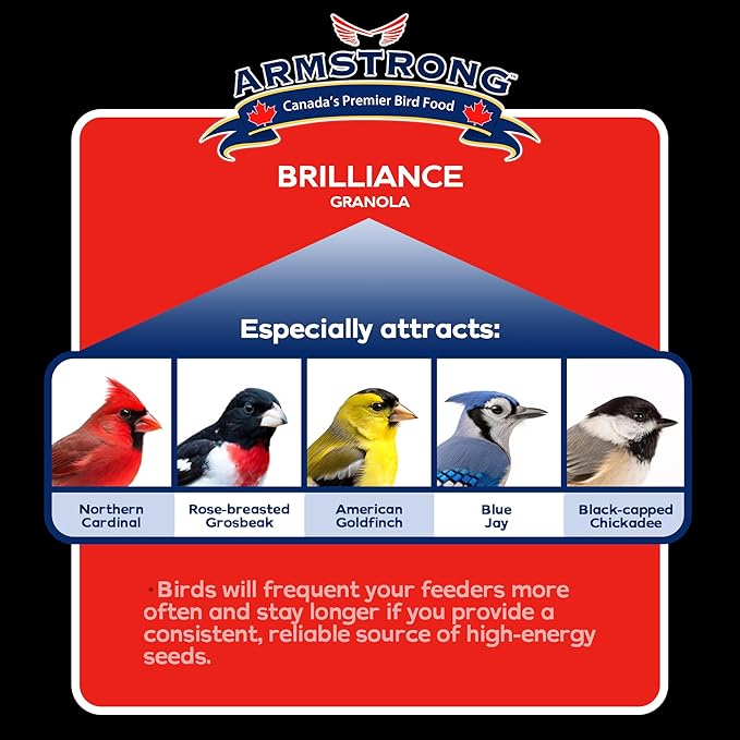 Armstrong Wild Bird Food Royal Jubilee Brilliance Granola Stack, 4.94oz – High-Energy Treat with Black Oil Sunflower, Safflower & Peanuts - Ideal for Granola Stack Feeders