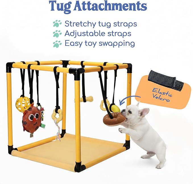Race&Herd Puppy Play Gym, Dog Play Mat, 8 Bungee Straps Interactive Puppy Active Toys - Small Dog Jungle Gym 19.5" Frame with Playground Set Indoor Enrichment Activity Center (Yellow)