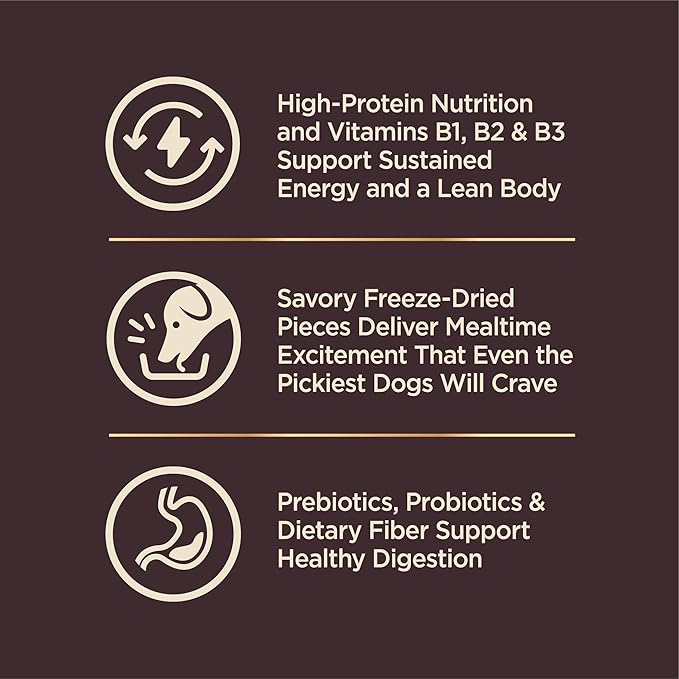 Wellness CORE+ Small Breed Adult Dry Dog Food with Freeze Dried Pieces, Wholesome Grain Kibble+, Natural, High Protein, Turkey and Chicken Recipe, 4 lb Bag