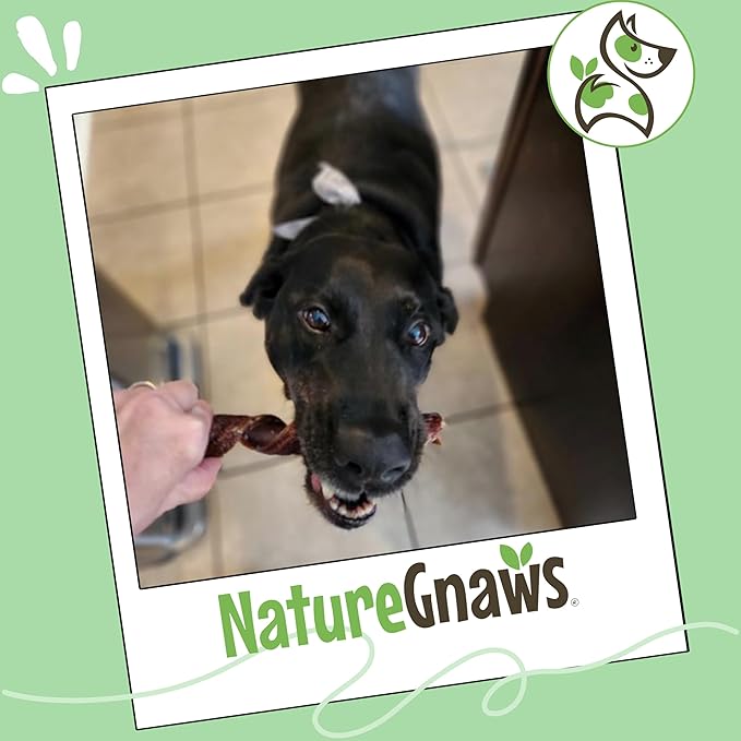 Nature Gnaws Beef Gullet Springs for Dogs 7-8" (12 Count) - Natural Beef Jerky Stick Dog Chew Treats - Rawhide Free