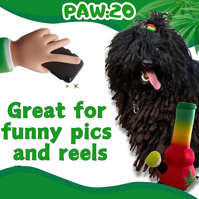 My Name is Bo da Bong, Funny Squeaky Weed Dog Toy, Cute Stuffed Parody Rasta Pot Bong, Cool Plush 420 Novelty Gift for Puppies & Small, Medium & Large Breeds, for Fetch & a Photo Prop