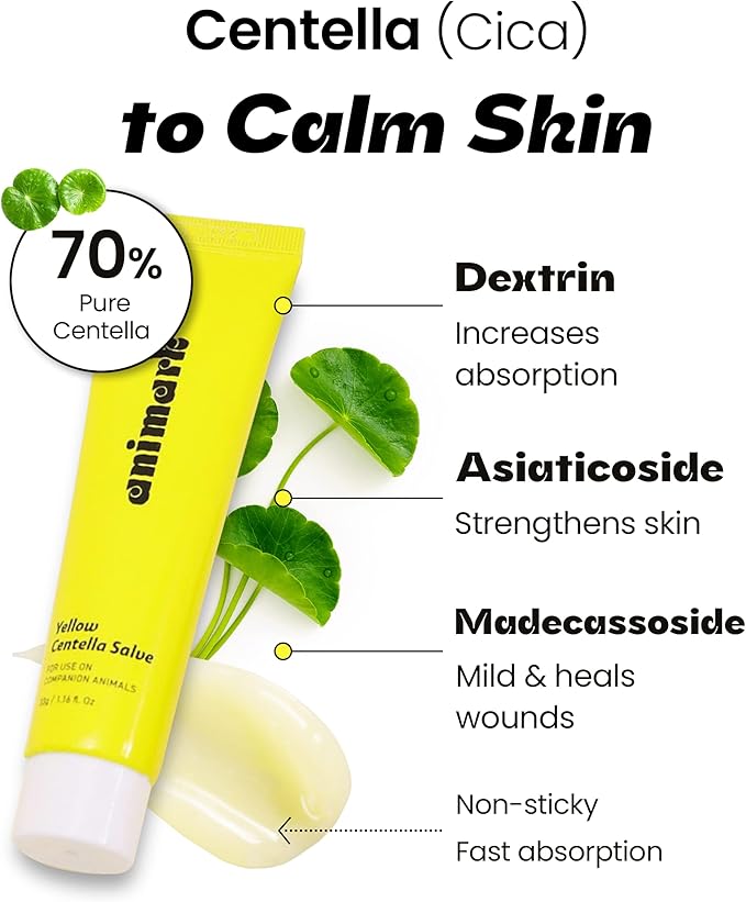 Yellow CENTELLA Salve – Hot Spot & Wound Care Ointment for Dogs, Cats & Small Animals – Lick-Safe, Fast-Acting, Steroid-Free, Natural Healing Balm for Cracked Paws & Skin Irritation, 1.16 oz