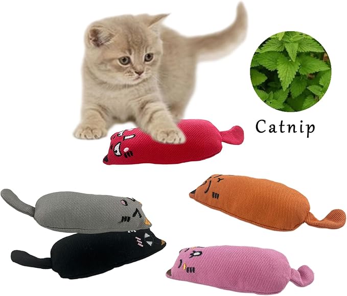 5 Pcs Cat Catnip Toys, Interactive Toy Cat Bite Resistant Chew Toy for Indoor Cats, Kittens Kitty Pillow Toys Soft, Catnip Filled Cartoon Mice Teething Chew Toy