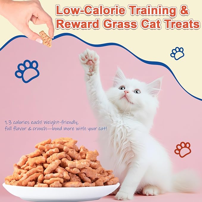 17.6 oz Cat Grass Treats for Indoor Cats - Hairball Control Natural Tuna & Catnip Flavor Healthy Kitten Snacks Crunchy Training Biscuits for Dental Cleaning