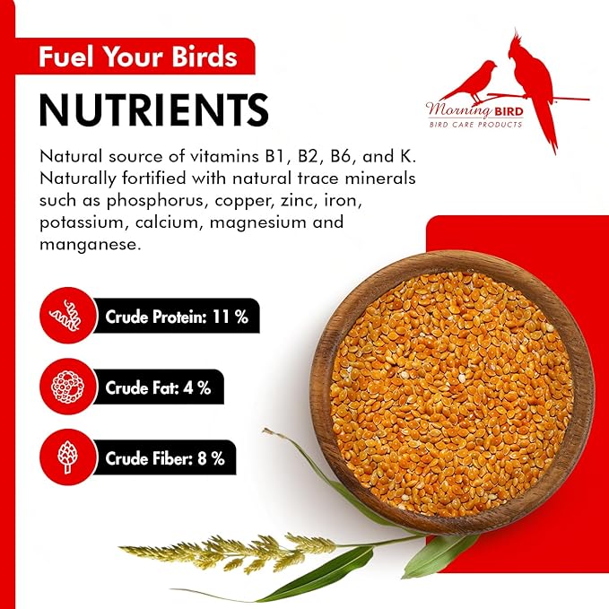 Morning Bird Red Proso Millet 4.5 lbs (3-Pack, 1.5 lbs Each) – Natural Bird Seed – Supports Feather Growth & Balanced Nutrition – Great Flavor, Energy Dense - Ideal for Finches, Parakeets & Pet Birds