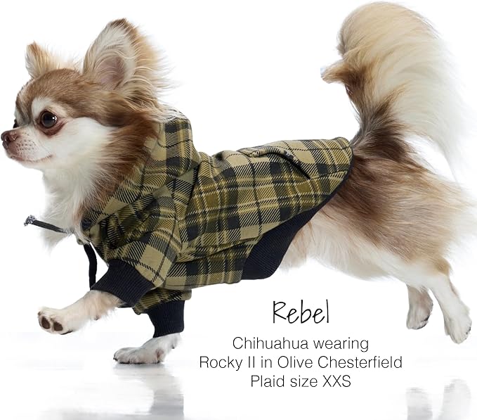 Pet Passion Rocky II - The Extra Comfy Hoodie, Organic Cotton and Recycled Poly Dog Hoodie Pet Coat Sweater for Small, Medium, Large Dogs, Olive Chesterfield Plaid, Small