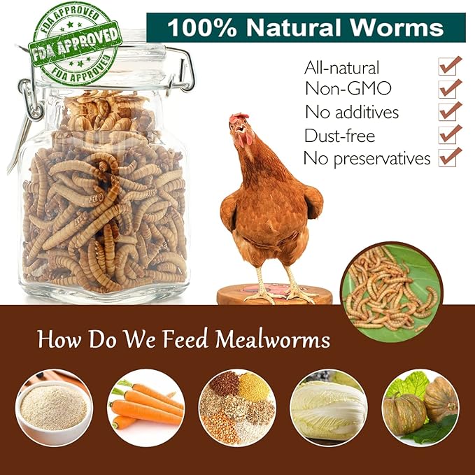 Non-GMO High-Protein Large Dried Mealworms for Chickens, Natural Grubs and Poultry Treats as Chicken Feed,Duck Food, Wild Birds Seed,Fish Food,Reptile Food,Amphibian Food(Mealworms-11LB)