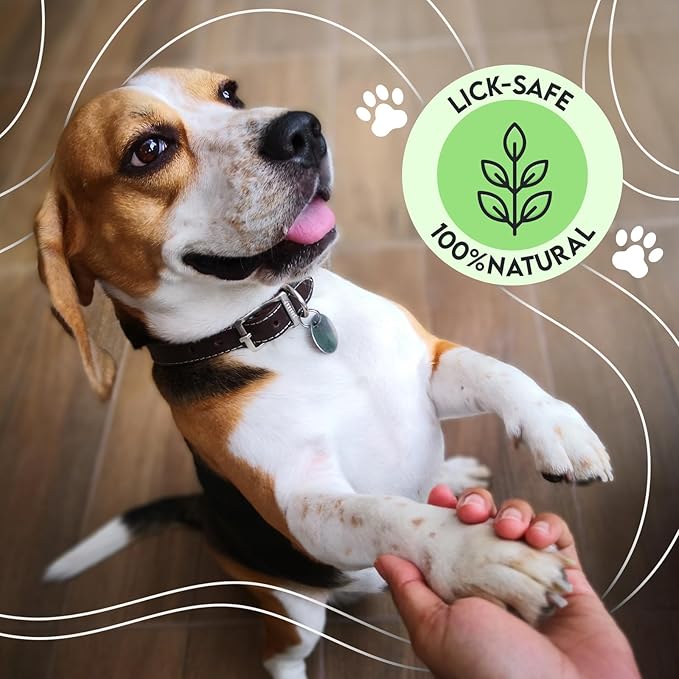 Dog Paw Balm - Coconut, Shea Butter, Jojoba Oil and Beeswax Formula - All-Natural Lick-Safe Pet Paw & Nose Balm for Cracked, Dry Foot & Noses - Soothing & Protective Salve - 60g - 2.1 oz