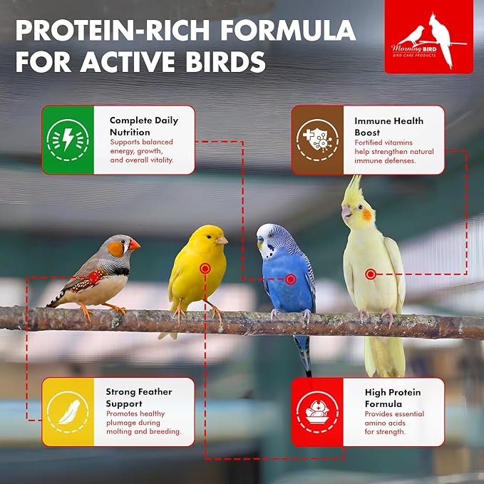 Morning Bird Miracle Meal 6 lbs. (4 Pack 1.5 Each) – Vitamin Fortified Soft Bird Food for Birds - All-Natural No Artificial Dyes, Flavors or preservatives - Supports Feather Strength & Breeding
