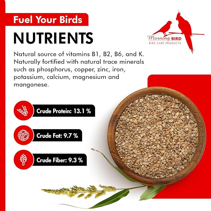 Morning Bird Japanese Millet Seed Bag 18 lbs (2-Pack, 9 lbs Each) - Healthy & Nutritious Pet Bird Food to Support Health & Immunity – Ideal Bird Feed for All Seed-Eating Birds