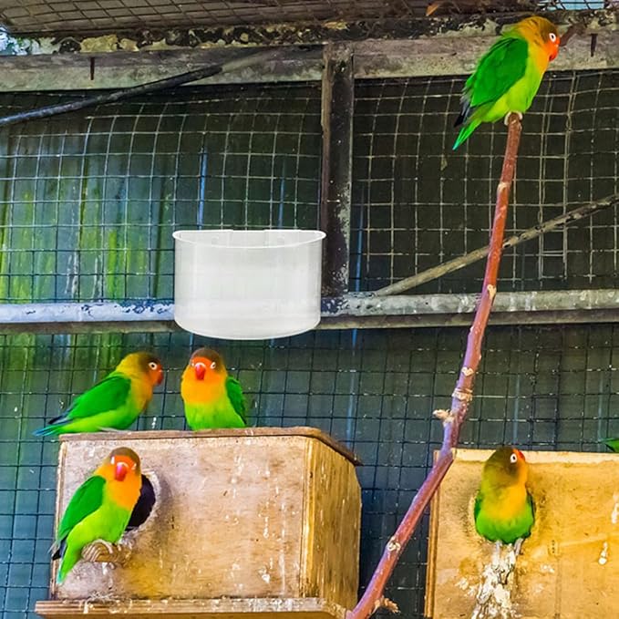 Toyvian 8pcs Hanging Pigeon Feeding Bowls Plastic Bird Cage Cups Water Bowls Large for Pigeon Bird Rabbit Cage Use
