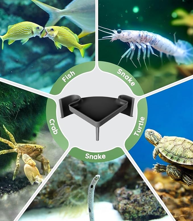 Aquarium Underground Cave with Viewing Window - 2 Hole Corner Fish Tank Hideout for Pleco, Cory Catfish, Kuhli Loach, Shrimp & Betta - Safe Decor Hide Decorations for Bottom Dwellers (5"L x 5"W x 2"H)