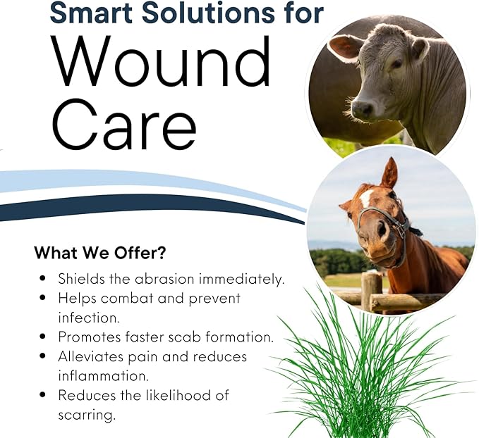 Wound Salve - For Horses, Pets, Livestock & People - Calendula, Shields Abrasions, Stops Infections, Promotes Scabbing, Reduces Inflammation & Scarring, Vet-Approved - Bev's Magic Salve (6 oz)