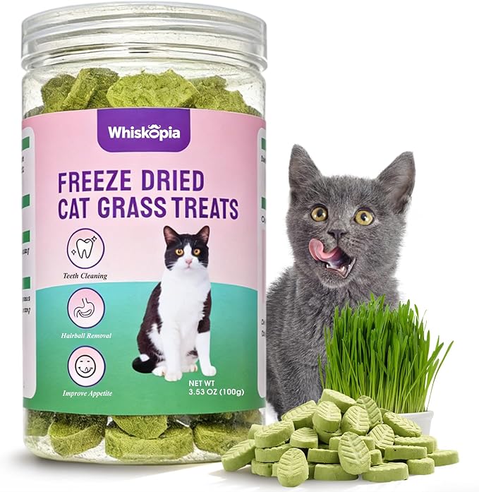 3.53oz Cat Grass Treats for Indoor Cats Freeze-Dried Cat Grass Teething Treats for Hairball Control, Gut Health & Dental Care Natural Chicken Kitten Crunchy Training Snacks