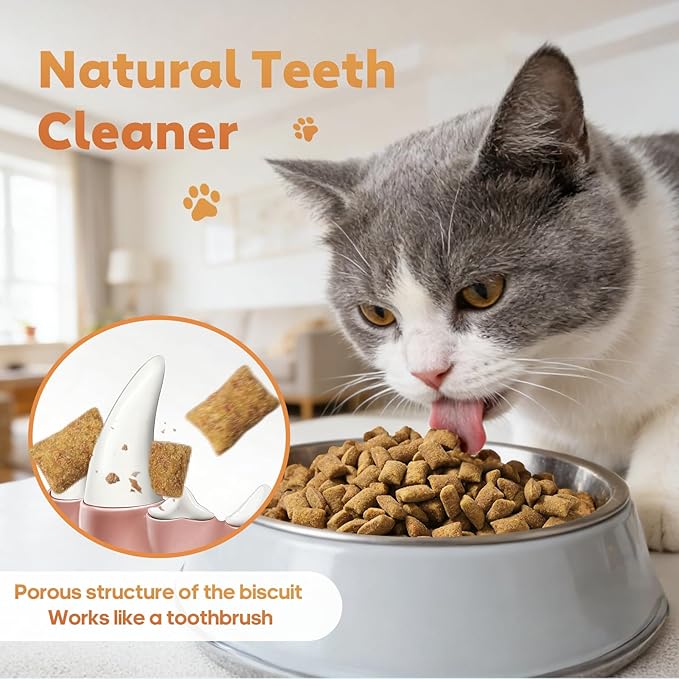 13.4 OZ Crunchy Cat Treats for Indoor Cats Classic Crunchy and Soft Kitten Snack with Real Chicken Training Biscuits for Teeth Cleaning Feline Snacks Tasty Catnip Flavor