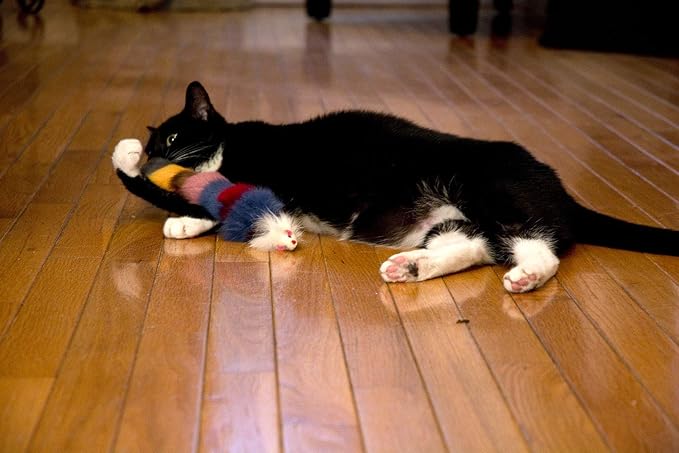Iconic Pet Set of 6 Fur Weasel Cat Toys with Squeaker for Pets, Best Pet Play Toy for Dogs and Cats, Fun Cat Toys, Dog Toys to Beat Boredom and Satisfy Hunting Instincts