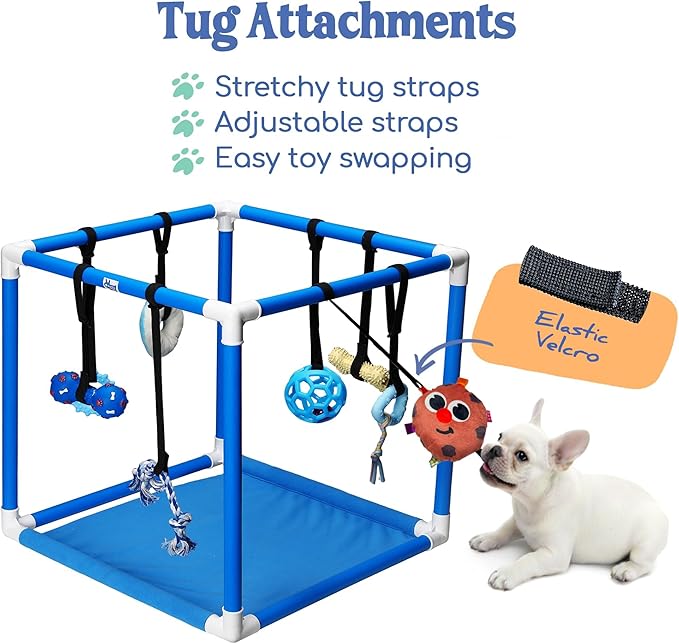 Race&Herd Puppy Play Gym, Dog Play Mat, 8 Bungee Straps Interactive Puppy Active Toys - Small Dog Jungle Gym 19.5" Frame with Playground Set Indoor Enrichment Activity Center (Blue)