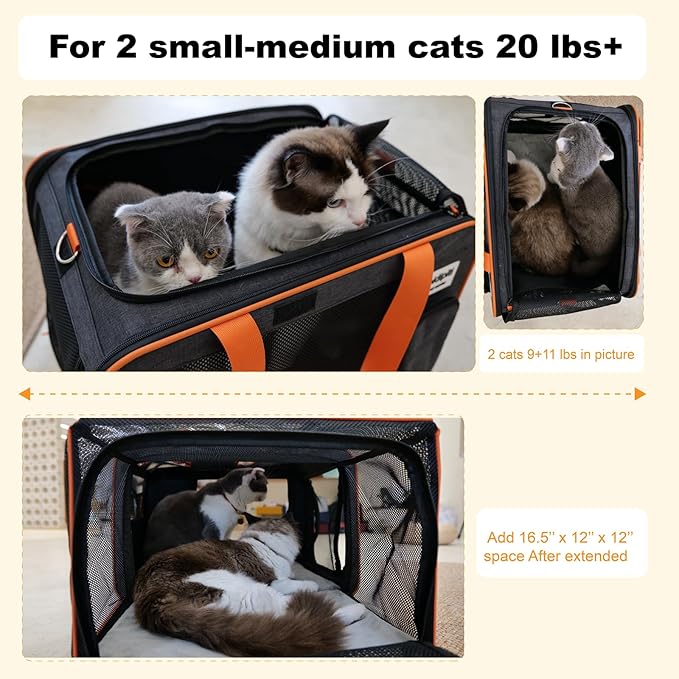 pidipiti 20 x 14 x 14 inches Expandable pet Carrier for 1 Large cat Under 25 lbs,2 Medium Cats 20 lbs+,cat Crate/Bag for Short Trip/Long Distance car Travel
