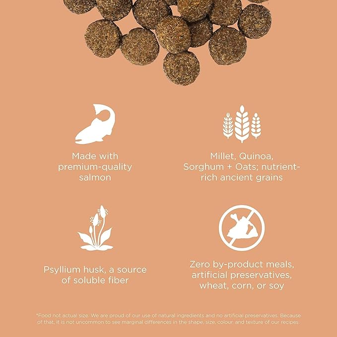 Go! Solutions Digestion + Gut Health Salmon Dry Dog Food, Premium Chicken-Free Kibble for Gastrointestinal & Digestive Wellness, Supports Sensitive Stomachs, for Puppies, Adults & Seniors, 22 lb Bag