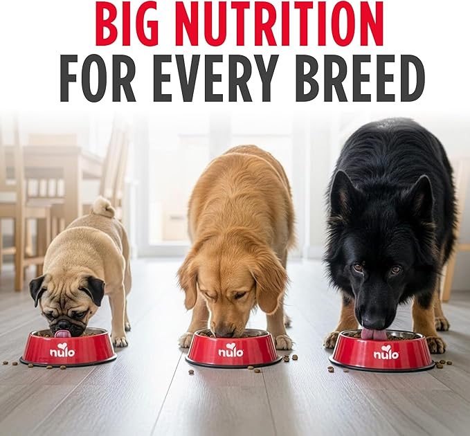 Nulo Frontrunner Dry Dog Food - Adult High-Protein Chicken, Oats & Turkey Recipe, Natural Kibble with Ancient Grains, Probiotics, Taurine, Omega 3 for Small, Medium and Large Breeds, 5lb Bag