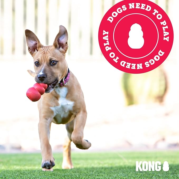 KONG Extreme Dog Toy - Fetch & Chew Toy - Treat-Filling Capabilities & Erratic Bounce for Extended Play Time Most Durable Natural Rubber Material - for Power Chewers - for Large Dogs