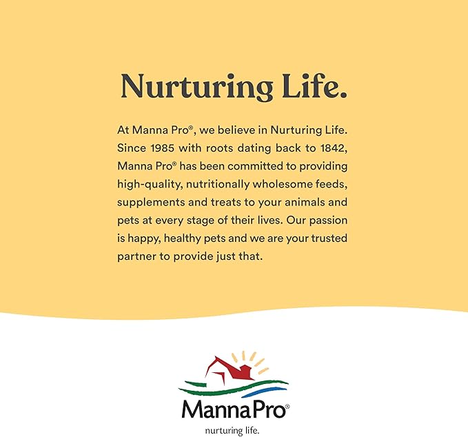 Manna Pro Chicken Feed | 16% Chicken Food with Probiotic Pellets, Layer Feed | 16 lbs (Pack of 2)