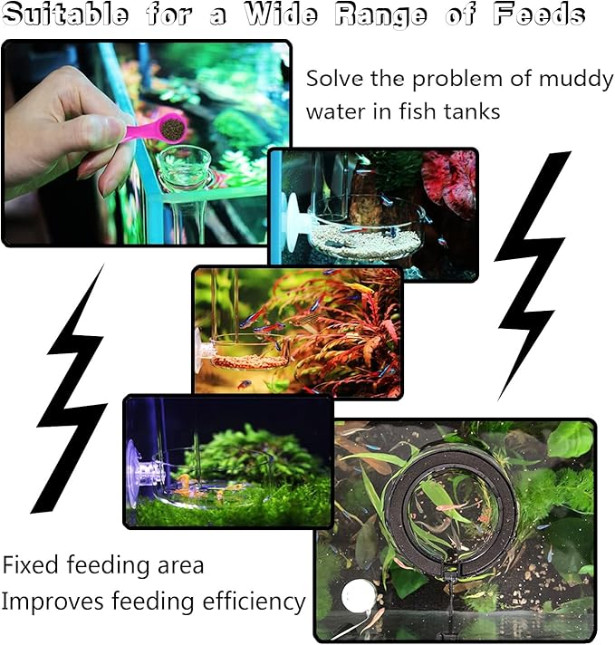 Fish Feeding Ring, Shrimp Feeding Dish, and Feed Measuring Spoon - Ideal Betta Fish Toys and Aquarium Accessories with Coral Feeder and Shrimp Tube