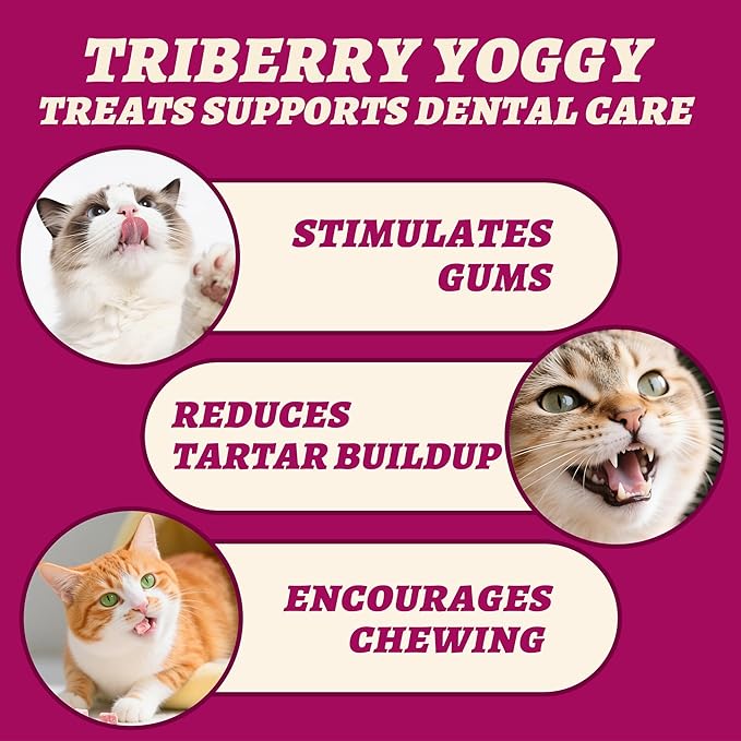 Wellix 4.23oz Natural Freeze-Dried Snacks for Dog & Cat - Triberry Yoggy Cat Yogurt Treats with Chicken Flavor & Real Fruits - Support Digestive & Immune Health Cats Food Toppers