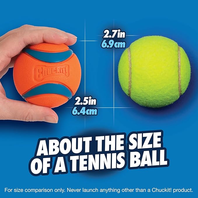 Chuckit! Ultra Ball Dog Toy - Medium Bouncy Fetch Balls for Dogs 20-60 lbs - Made from Durable Rubber - Floating Water Pet Toys - Size Medium - 2.5-inch Diameter, 2 Count, (Pack of 6)