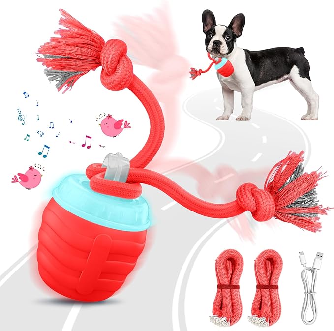 Interactive Dog Toys Ball - New Upgraded Chase Buddy Dog Toy for Small Dogs, Automatic Moving and Rolling Dogs Ball for Boredom, USB Rechargeable(Red)