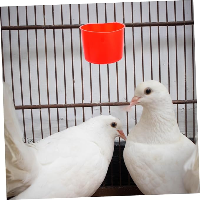 TOYANDONA 4pcs Thickened Plastic Feeding and Watering Bowls for Small Birds Guinea Pigs Chickens Puppies and Rabbits