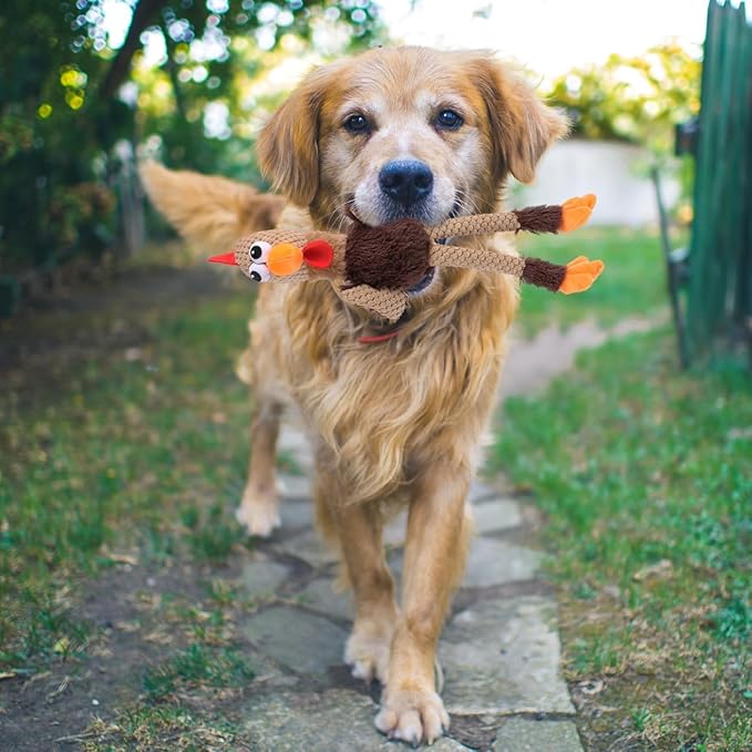 ibasenice Dog Chew Toy Rooster Shape 17.71 Inch – Teeth Cleaning & Jaw Muscle Exercise for Aggressive Chewers – for Dogs, Puppies, Cats