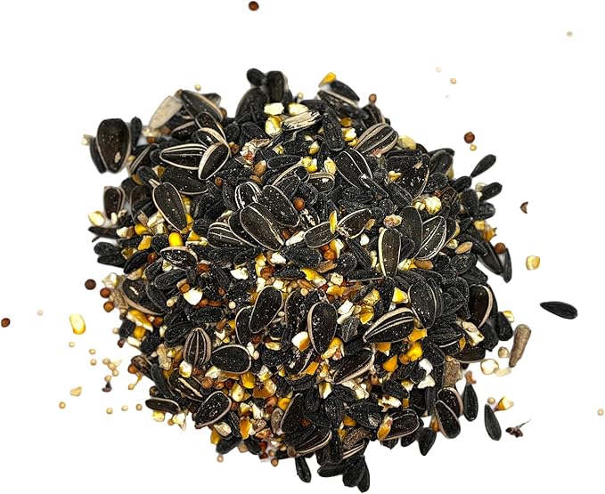 Choice Blend Wild Bird Seed – 2 Pack (5 lb Bags) All Purpose Bird Feeder Mix with Sunflower & Millet