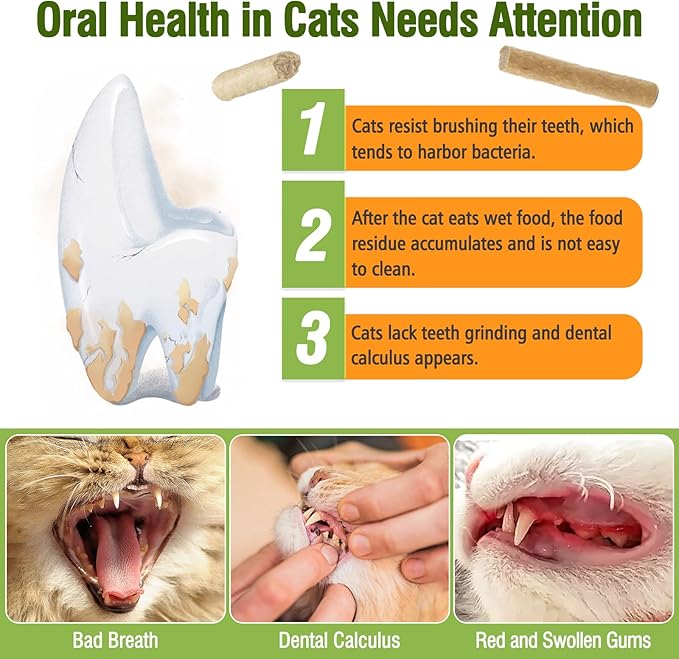 Freezed Drying 50g Cat Chew Sticks Quail Flavor, Cat Teething Sticks for Teeth Cleaning Dental Care, Cats Chew Toys for Fresh Breath
