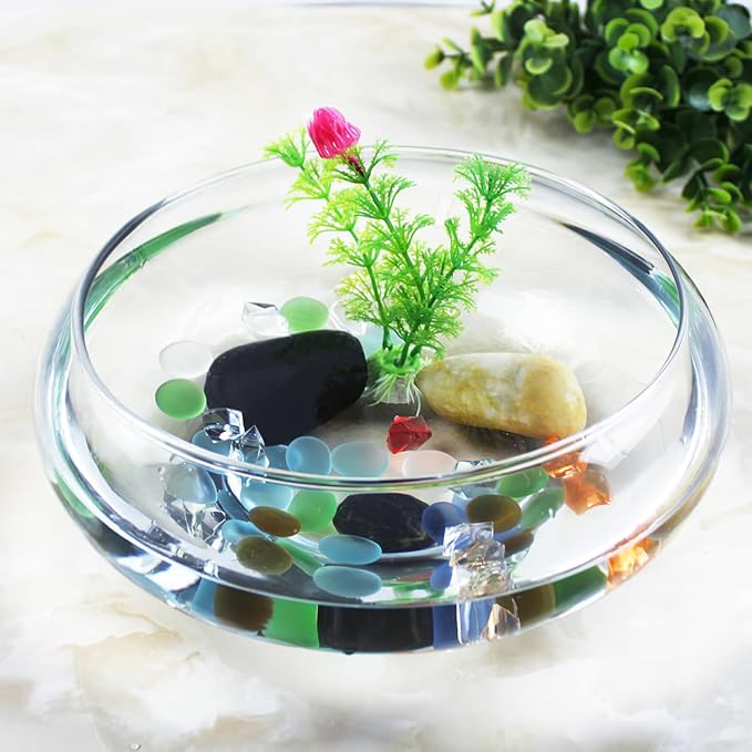 Toddmomy Transparent Aquarium Tank 9.52 Inch Desktop Betta Fish Bowl for Home and Office Decor with Hydroponic Plants and Aquatic Pets Display