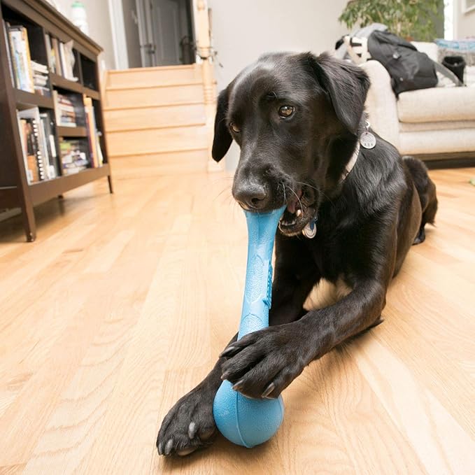 Kong SqueakStix Medium - Blue