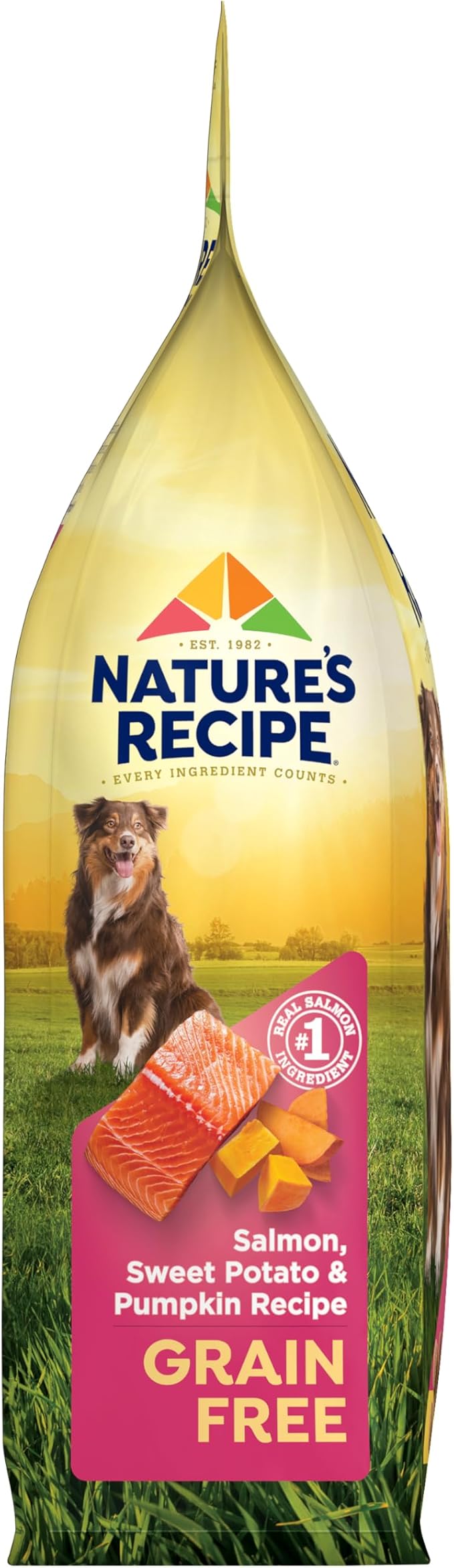 Nature's Recipe Grain Free Dry Dog Food, Salmon, Sweet Potato & Pumpkin Recipe, 4 lb. Bag