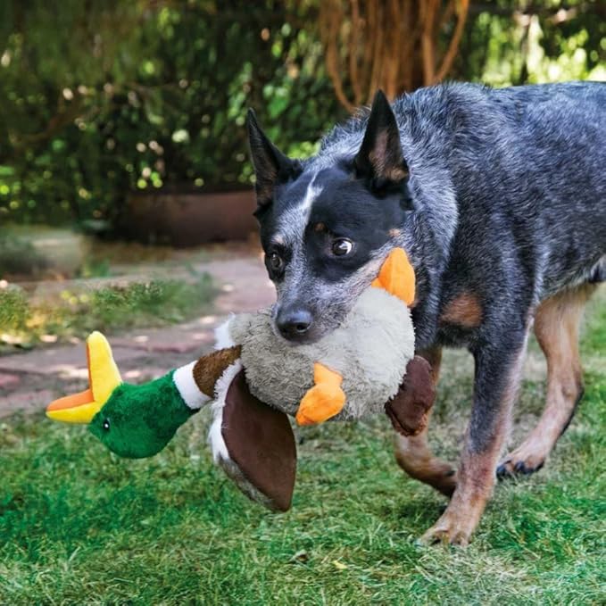 KONG Shakers Honkers Duck - Long Plush Toy with Low Tone Squeaker (Large)