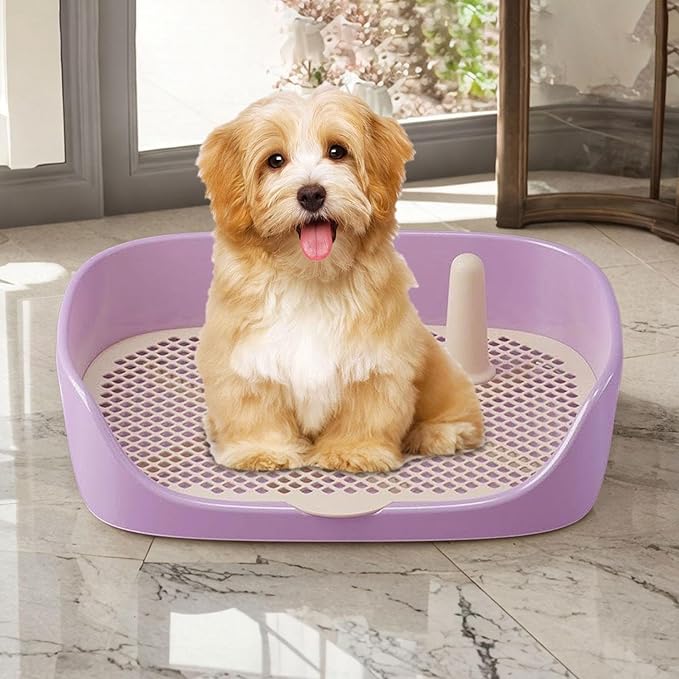 Litter Tray Pet Kitten Toilet Training Potty Pet Litter Pan Portable Design Anti Splashing Function Suitable for Small Animal Indoor Outdoor, Purple 40x30x11cm