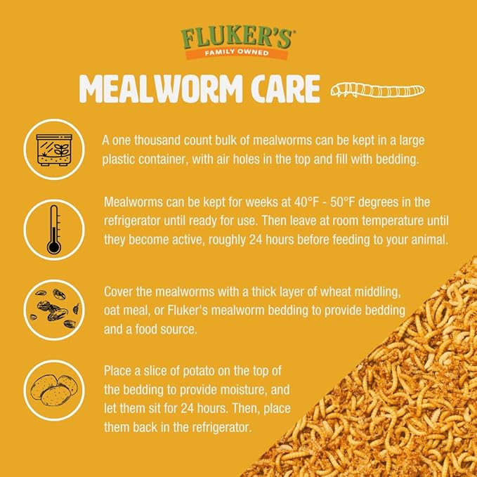 Fluker's Live Mealworms, 3000 Count Feeder Insects for Reptiles, Chickens, and Birds, Large (Approx. 1")