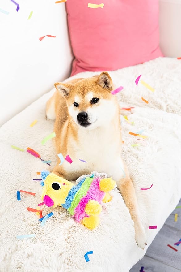 Pearhead Puppy Piñata Dog Toy, Cinco de Mayo Dog Toy with Rope Tug and Crinkle Plush, Interactive Chew Toy for Dogs, Everyday Play Gift